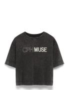 Cmmuse-Tee Black Copenhagen Muse