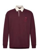 Peached Crest Solid Rugby Burgundy Tommy Hilfiger