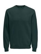 Onsceres Crew Neck Noos Khaki ONLY & SONS