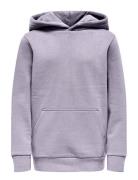 Osjceres Hoodie Swt Noos Purple ONLY & SONS