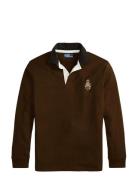 10/1 Jersey-Lsl-Rug Brown Polo Ralph Lauren