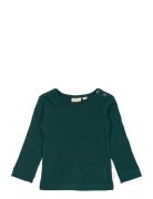 T-Shirt L/S Modal Green Petit Piao