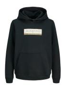 Jorinwood Block Branding Sweat Noos Jnr Black Jack & J S