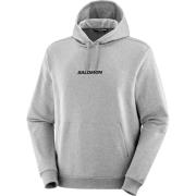 Salomon Men's Logo Pull Over Heather Grey