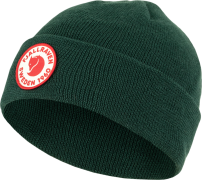 Kids 1960 Logo Hat Deep Patina