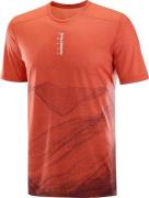 Salomon Men's S/LAB Ultra Tee Aop Burnt Sienna/decadent Chocolate/