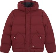 Dickies Men's Eagleville Hooded Puffer Andorra