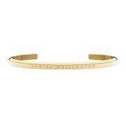 Daniel Wellington Classic Armbånd Golden DW0040007