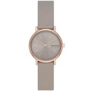 Skagen Denmark Signatur Lille SKW3060