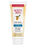 Burt's Bees Body Lotion With Cocoa & Cupuacu Butters 170 g