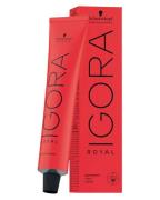 Schwarzkopf Igora Royal 0-00 60 ml