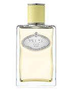 Prada Les Infusions De Gingembre EDP 100 ml