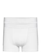 Mutlipack Boxer Brief Modal Boksershorts White Bread & Boxers