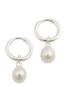 Treasure Pearl Hoops Silver Accessories Jewellery Earrings Hoops Silve...
