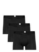 3-Pack Underwear - Gots/Vegan Boksershorts Black Knowledge Cotton Appa...