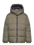 Puffer Jacket Fôret Jakke Khaki Green Timberland