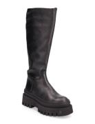 Chipp Boot Høye Støvletter Black Steve Madden