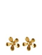Wild Poppy Earsticks Accessories Jewellery Earrings Studs Gold Pernill...
