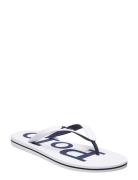 Eva-Bolt-Sn-Csl Flip-flopper Sandaler White Polo Ralph Lauren