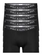 Bci Cotton/Elastane-5Pk-Trn Boksershorts Black Polo Ralph Lauren Under...