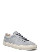 Jermain Suede Sneaker Lave Sneakers Grey Polo Ralph Lauren