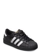 Superstar C Lave Sneakers Black Adidas Originals