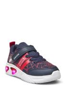 J Assister Boy D Lave Sneakers Navy GEOX