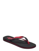 Bolt Pony Flip-Flop Flip-flopper Sandaler Black Polo Ralph Lauren