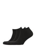 Big Pony Sock 3-Pack Ankelsokker Korte Strømper Black Polo Ralph Laure...