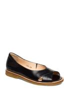 Sandals - Flat - Open Toe - Clo Flate Sandaler Black ANGULUS