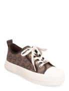 Evy Lace Up Lave Sneakers Brown Michael Kors