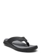 Mens Sargo Sandal - Sunview Flip-flopper Sandaler Black Skechers