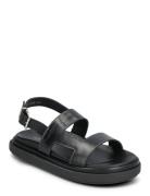 Lorelei Tan Leather Sandals Flate Sandaler Black ALOHAS