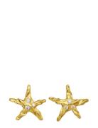 Lana Earrings Accessories Jewellery Earrings Studs Gold Maanesten