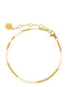 Nikki Nude Mix Accessories Jewellery Bracelets Chain Bracelets Gold By...