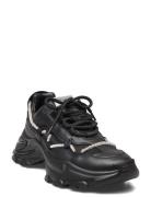 Miracles Sneaker Lave Sneakers Black Steve Madden