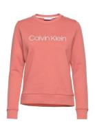 Core Logo Ls Sweatshirt Tops Sweat-shirts & Hoodies Sweat-shirts Pink ...