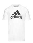 Lk Bl Co Tee Sport T-shirts Short-sleeved White Adidas Sportswear