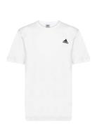 M Sl Sj T Sport T-shirts Short-sleeved White Adidas Sportswear