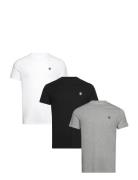 Dunstan River 3Xpack Tee Multi Color Designers T-shirts Short-sleeved ...