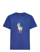 Big Pony Cotton Jersey Tee Tops T-shirts Short-sleeved Blue Ralph Laur...