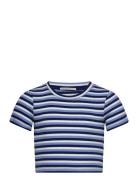 Cropped Striped Rib T-Shirt Tops T-shirts Short-sleeved Blue Tom Tailo...