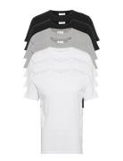 Basic O-Neck Tee S/S 7 Pack Tops T-shirts Short-sleeved Lindbergh