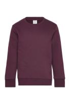 Sweatshirt Basic Tops Sweat-shirts & Hoodies Sweat-shirts Burgundy Lin...