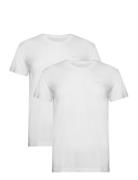 C-Neck T-Shirt 2-Pack Tops T-shirts Short-sleeved White GANT