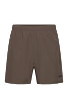 Borg Essential Active Shorts Sport Shorts Sport Shorts Brown Björn Bor...