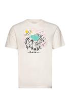 Print Ss Tshirt Tops T-shirts Short-sleeved Cream GANT