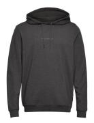 Jbs Of Dk Logo Hoodie Fsc Tops Sweat-shirts & Hoodies Hoodies Grey JBS...