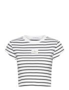 Woven Label Rib Baby Tee Tops T-shirts & Tops Short-sleeved Multi/patt...