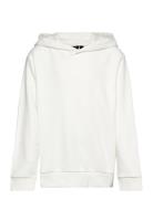 Nlfherry Ls Sweat W Hood Tops Sweat-shirts & Hoodies Hoodies Cream LMT...